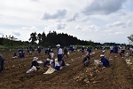 DSC_0010.JPG